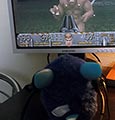 Furby plays Doom on 22 August 2013